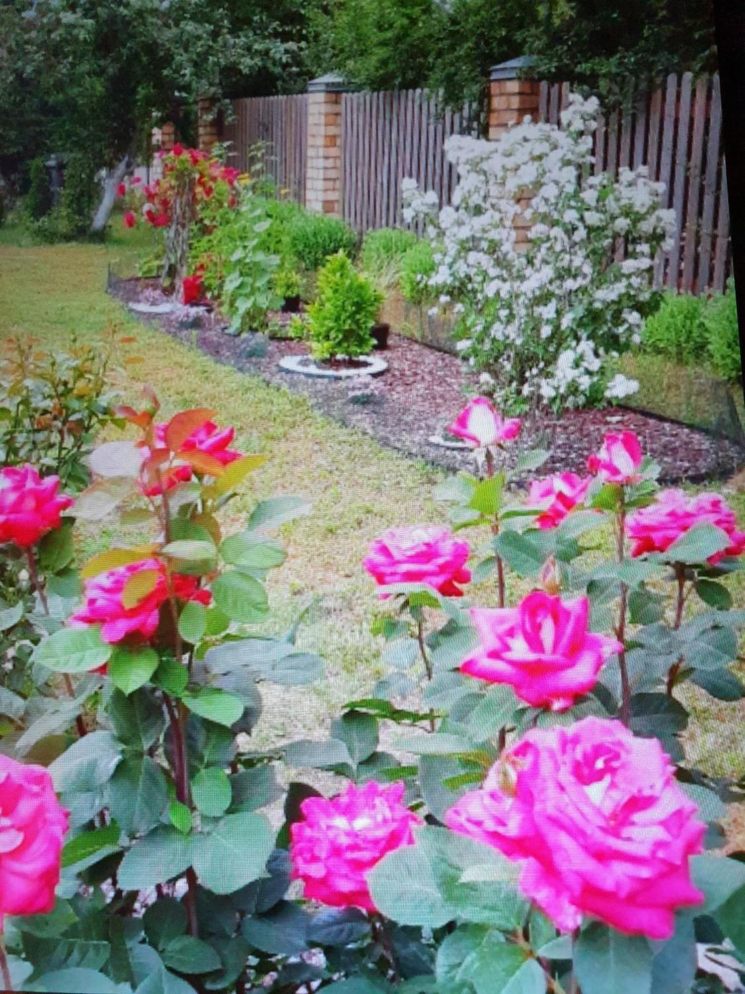Лора Villa Lapmežciems Buitenkant foto